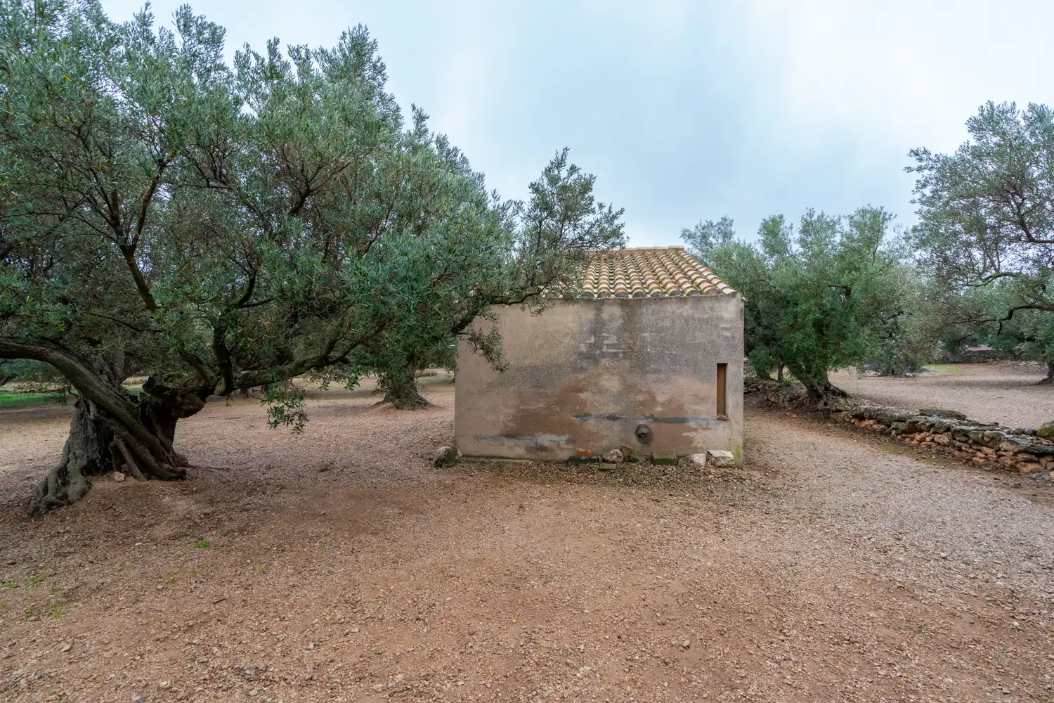 Terreno rustico in vendita a Cami de Pandorga 1, imagen 5