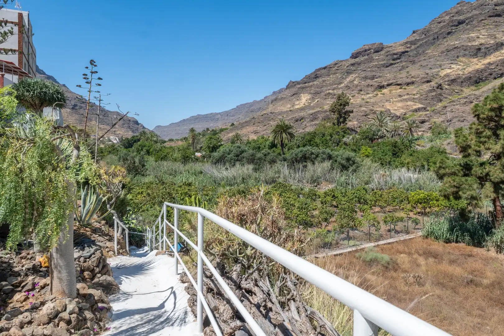 House with terrace for sale in Los Pasitos 2, imagen 38