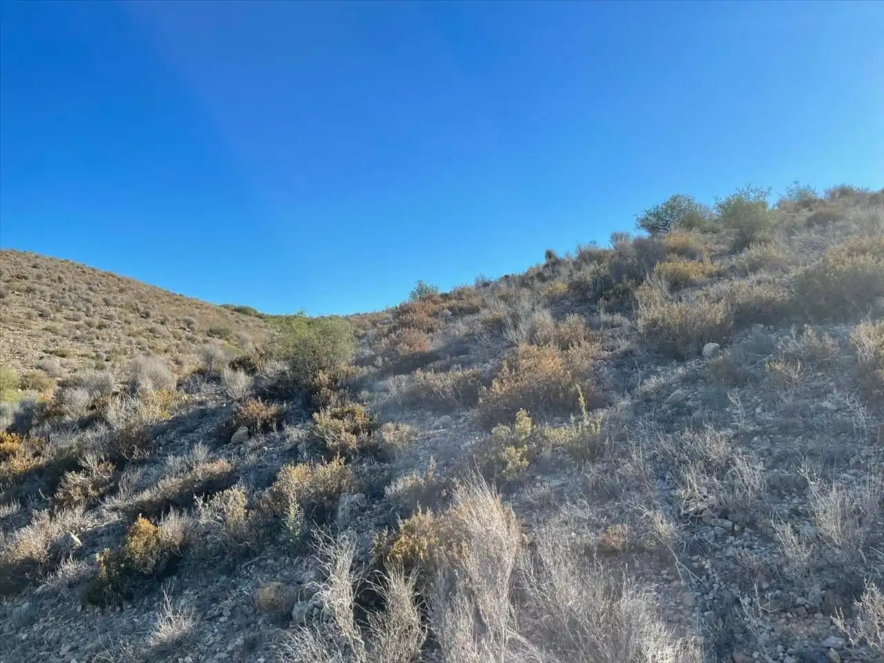 Terreny residencial en venda a SIETE FUENTES 35, imagen 9
