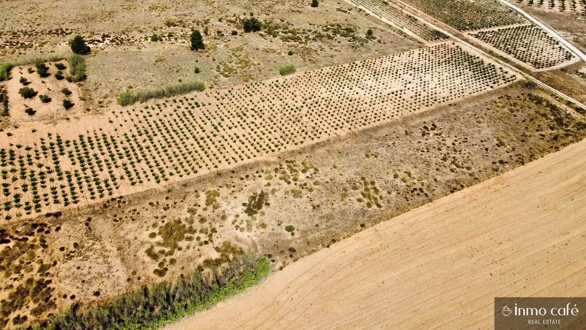 Terreno rustico in vendita a Parcela  CABEZO POLI., imagen 10