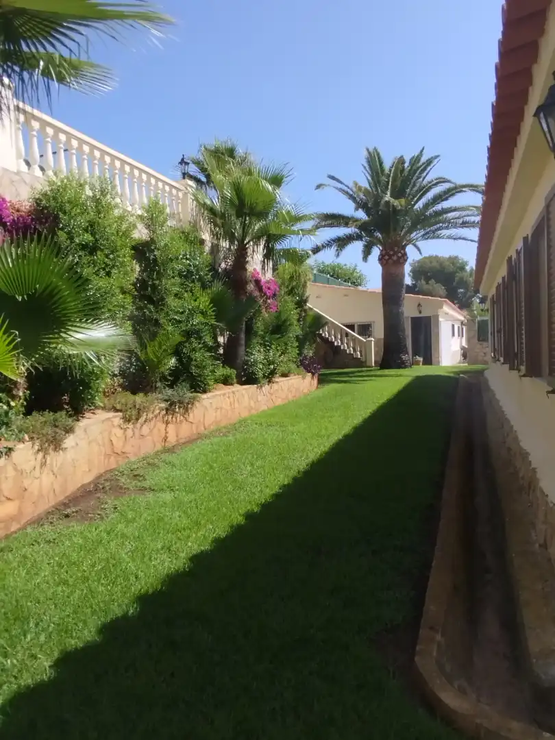 Jardí de Residencial en venda en Alcalà de Xivert