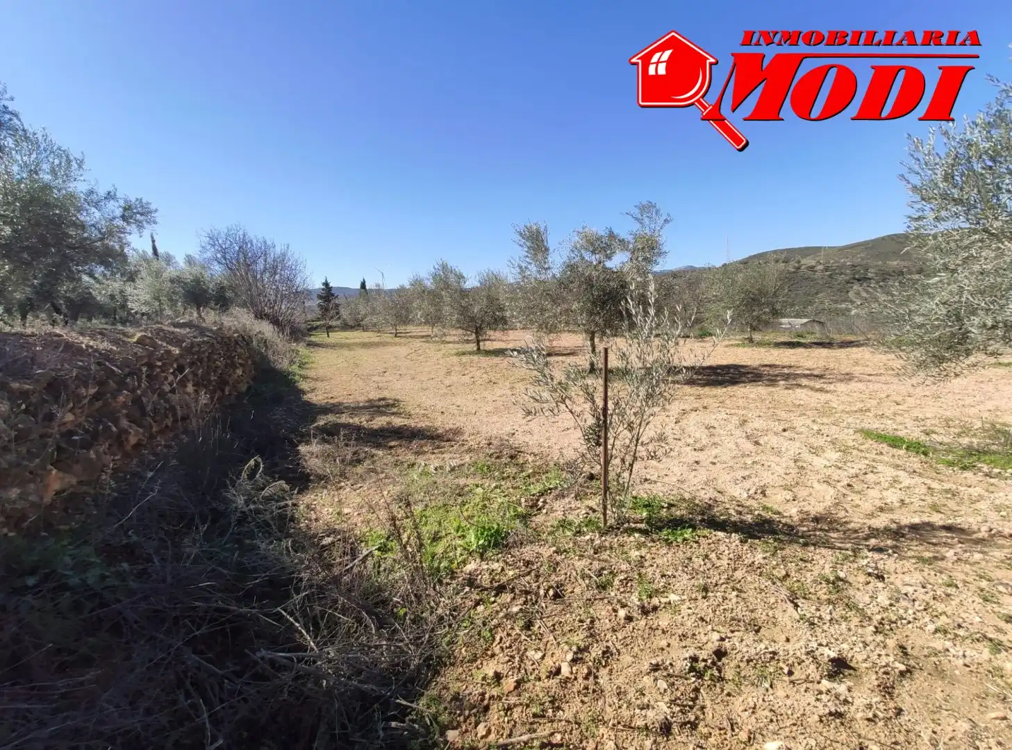 Terrenys i solars en venda a Villamena, imagen 17