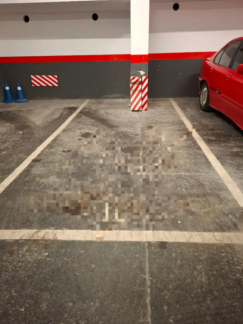 Parkplatz von Wohnung zum Verkauf in Plentzia mit Abstellraum