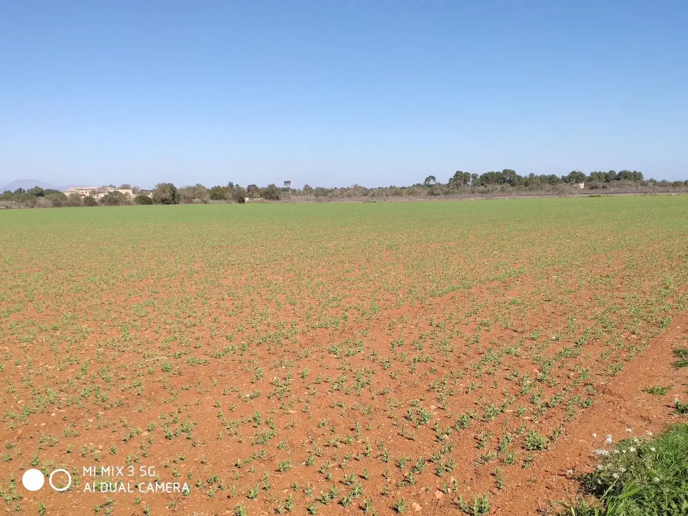 Terrain résidentiel à vendre à Algaida, imagen 9