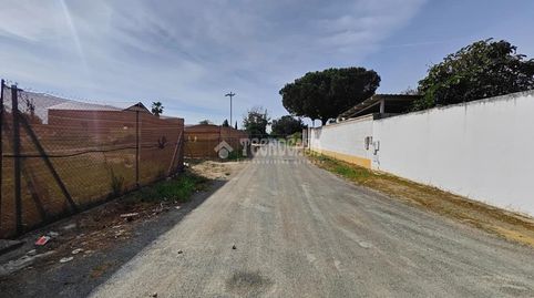 Photo 2 of Country homes for rent in Los Palacios y Villafranca, Sevilla