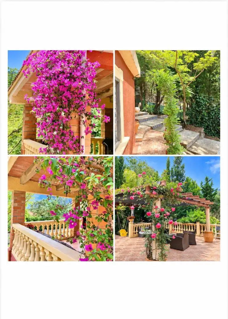 Jardí de Casa o xalet en venda en Barx, Valencia