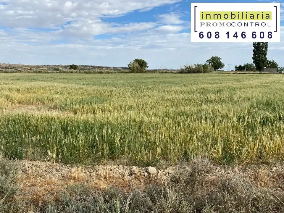 Terreny rústic en venda a San Mateo de Gállego, imagen 5