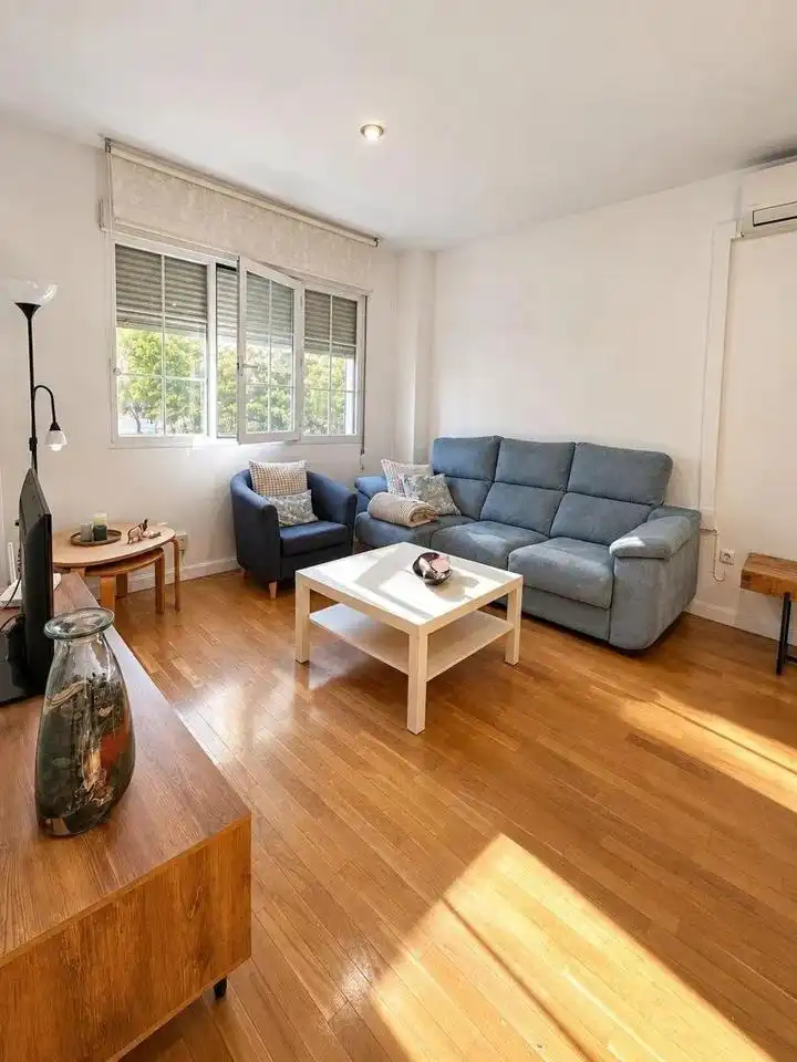 Wohnzimmer von Wohnung zur Miete in Madrid mit Möbliert