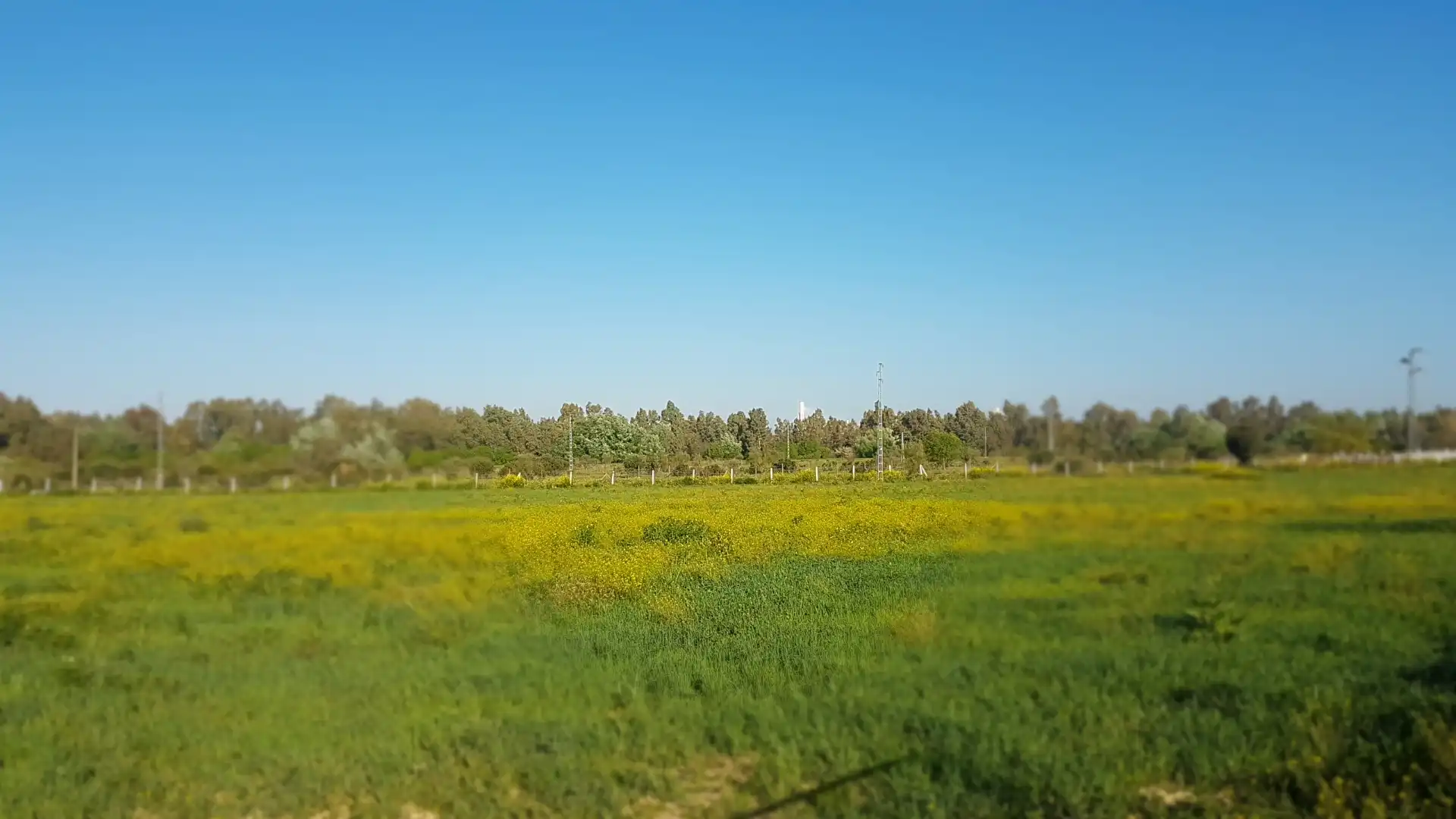 Terreni e lotti in vendita a Sanlúcar la Mayor, imagen 21