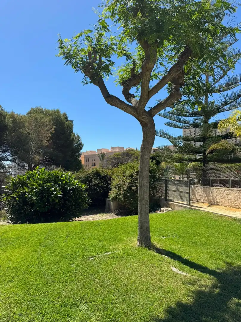 Garden of Houses for rent in El Campello  with Community pool
