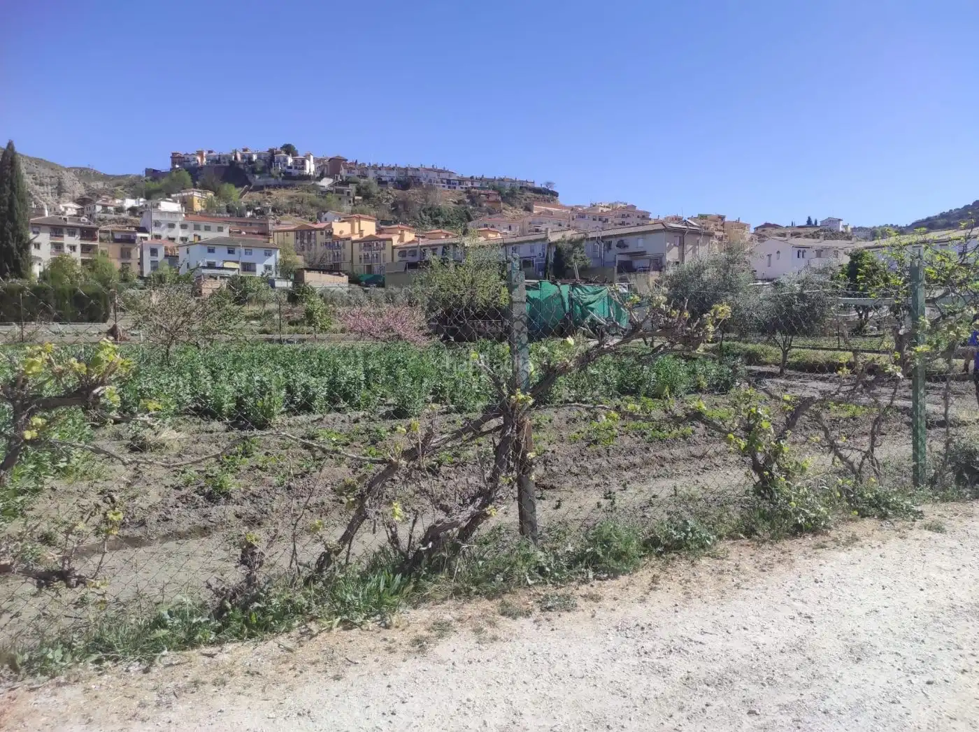 Terreni e lotti in vendita a Camino de las Fuentezuelas 8, imagen 3