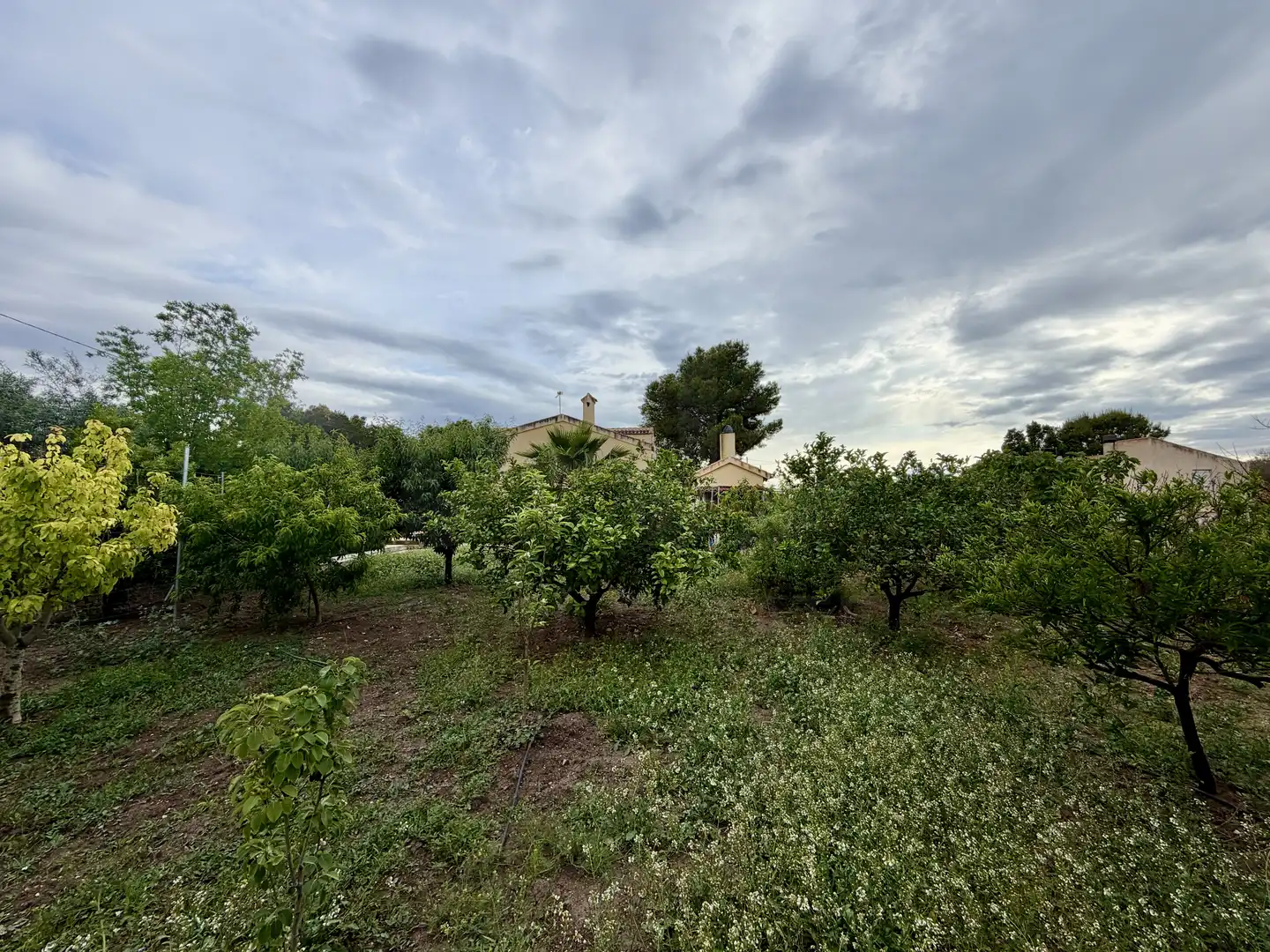 Chalet en venta en La Alcayna, imagen 5