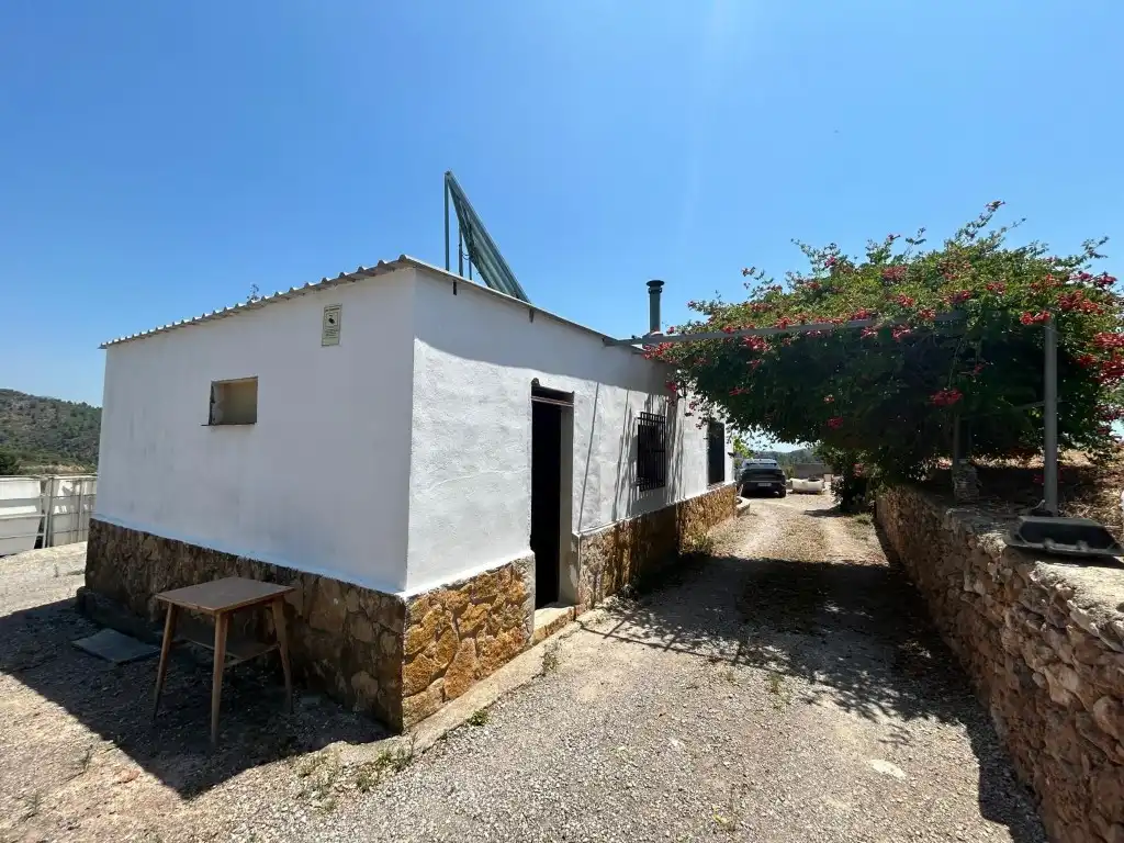 Vista exterior de Finca rústica en venta en Sot de Ferrer