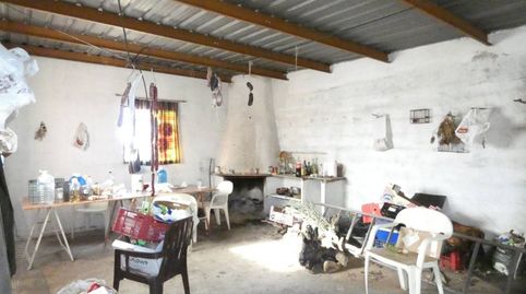 FINCA RUSTICA CON ALMACEN, imagen 4