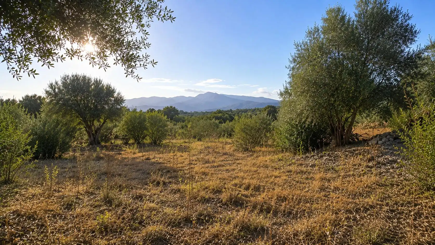 Finca rústica en venda en Inca
