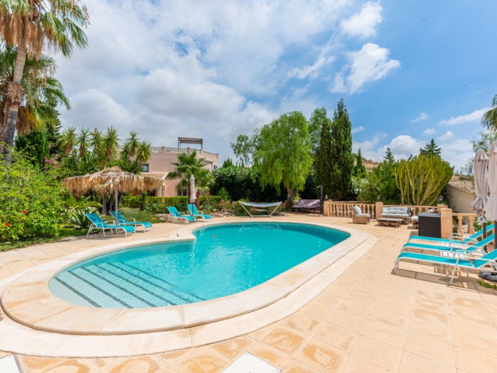 Swimming pool of Premises for sale in San Vicente del Raspeig / Sant Vicent del Raspeig  with Air Conditioner