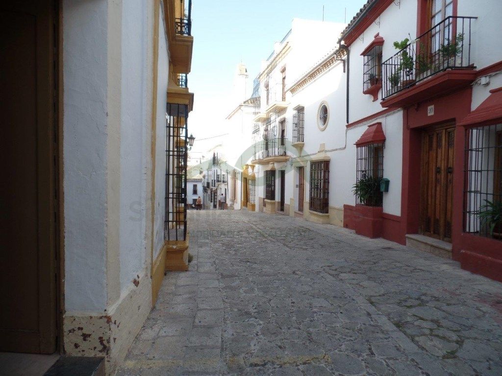 Exterior view of Country house for sale in Ronda