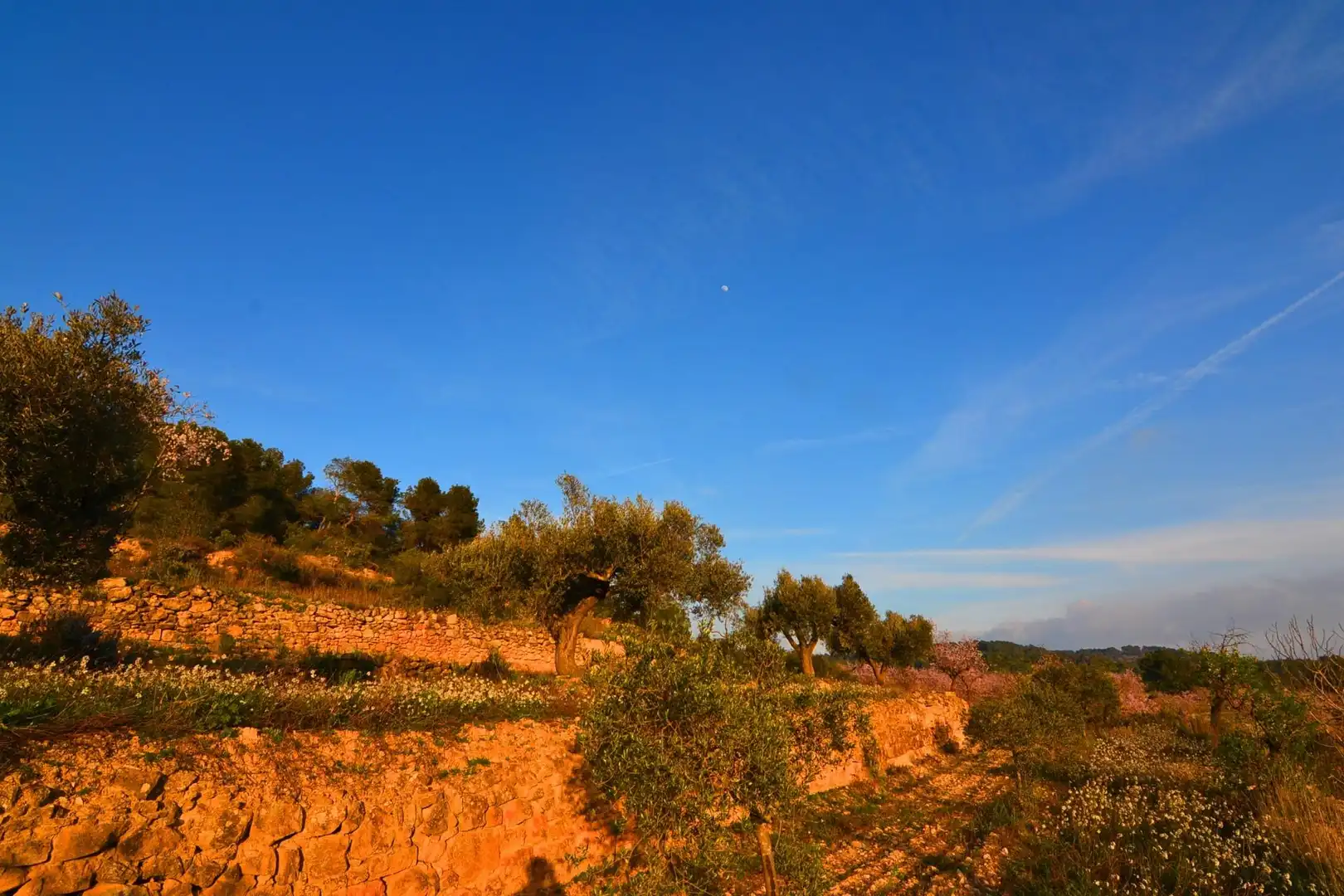 Rural land for sale in Corbera d'Ebre, imagen 82