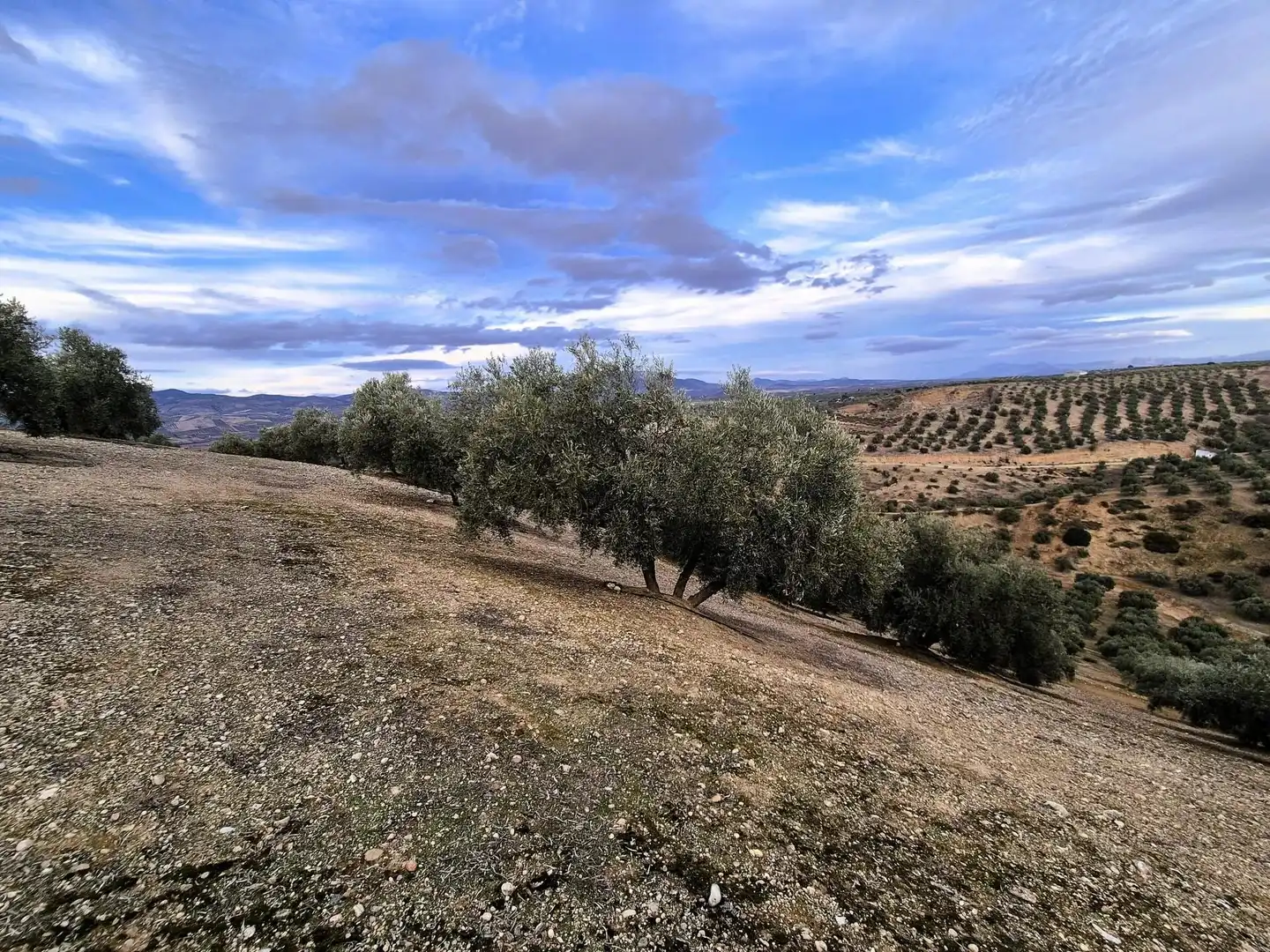Rural land for sale in Huétor Tájar, imagen 10