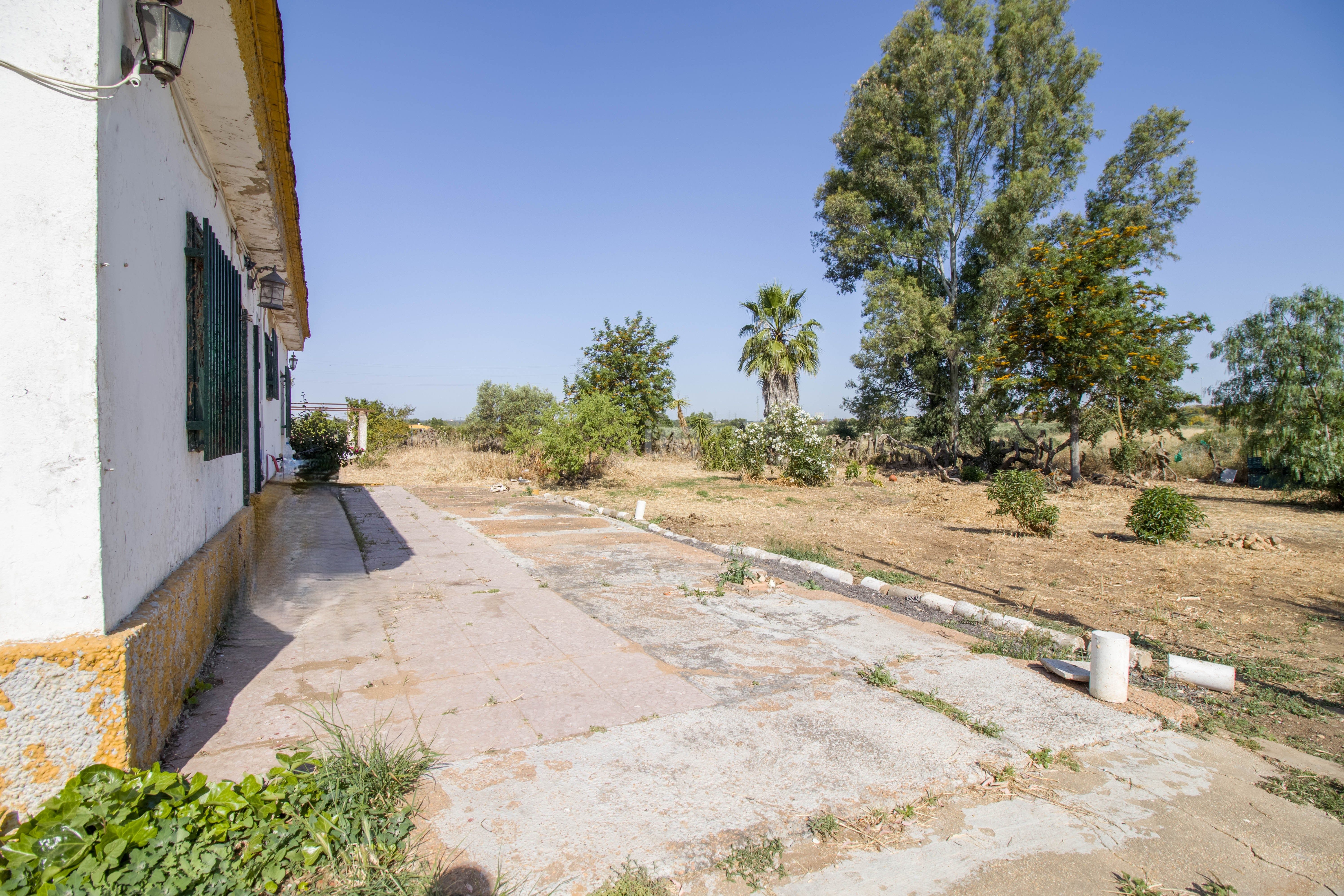 Casa o chalet en venta en Gibraleón con Calefacción, Terraza y Piscina