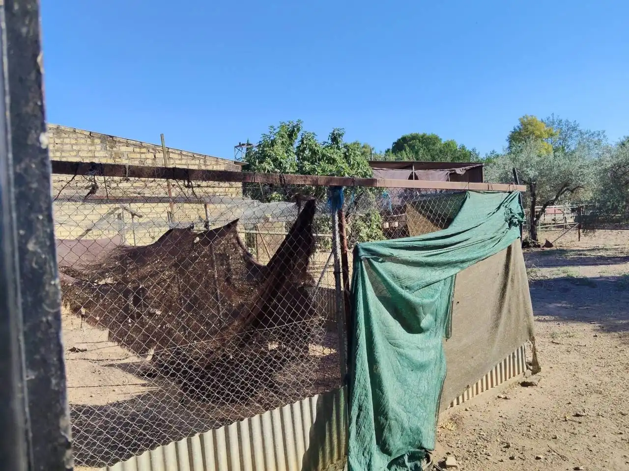 Garden of Houses for sale in Carmona  with Private garden and Terrace