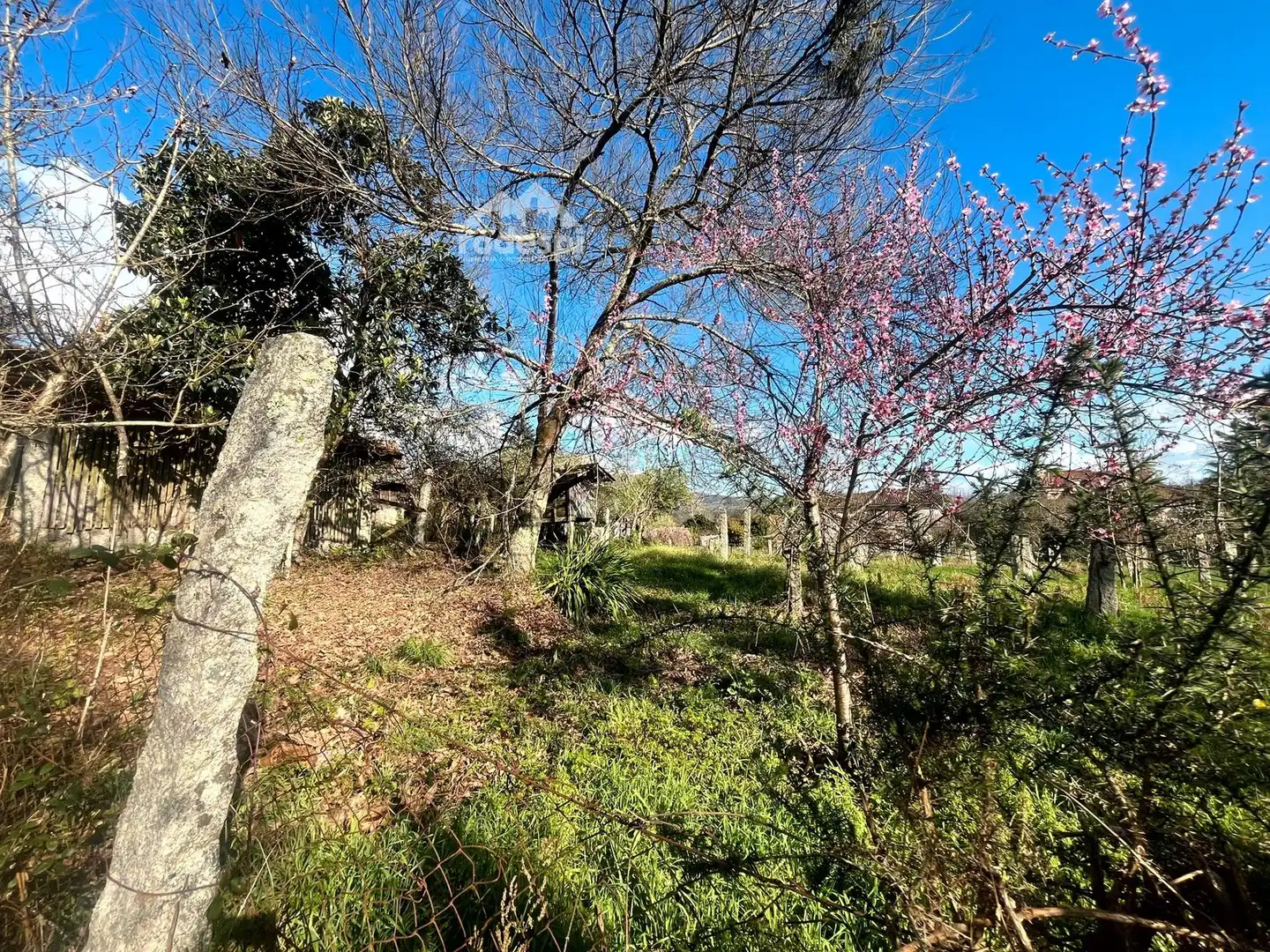 Casa en venta en Salvaterra de Miño, imagen 13