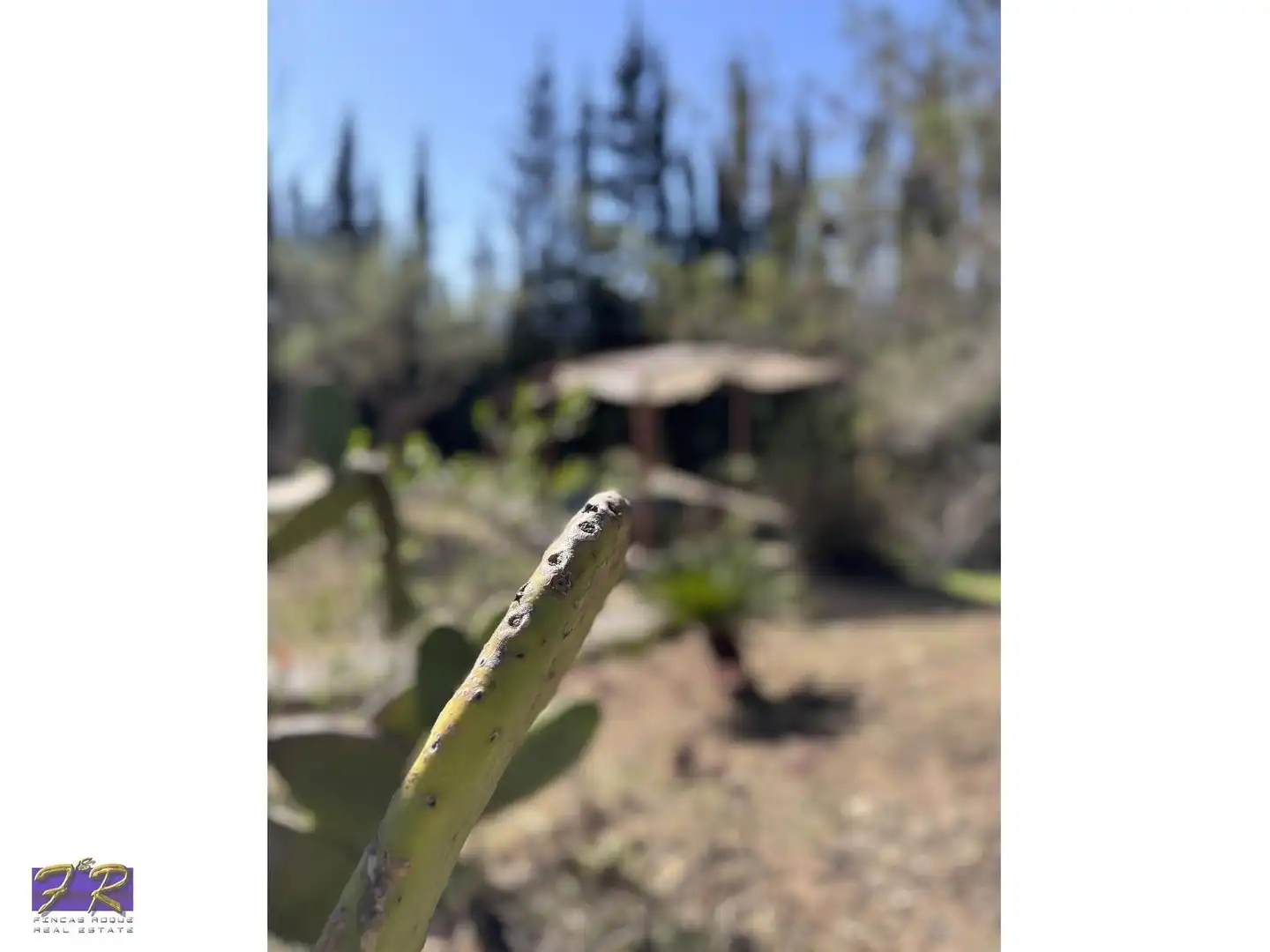 Jardín de Finca rústica en venta en Búger con Aire acondicionado, Terraza y Trastero