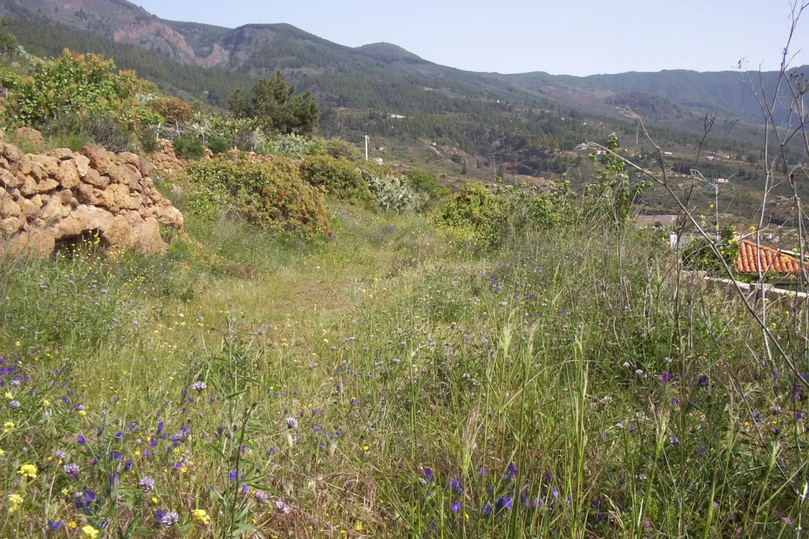 Rural land for sale in Calle Galván, imagen 9