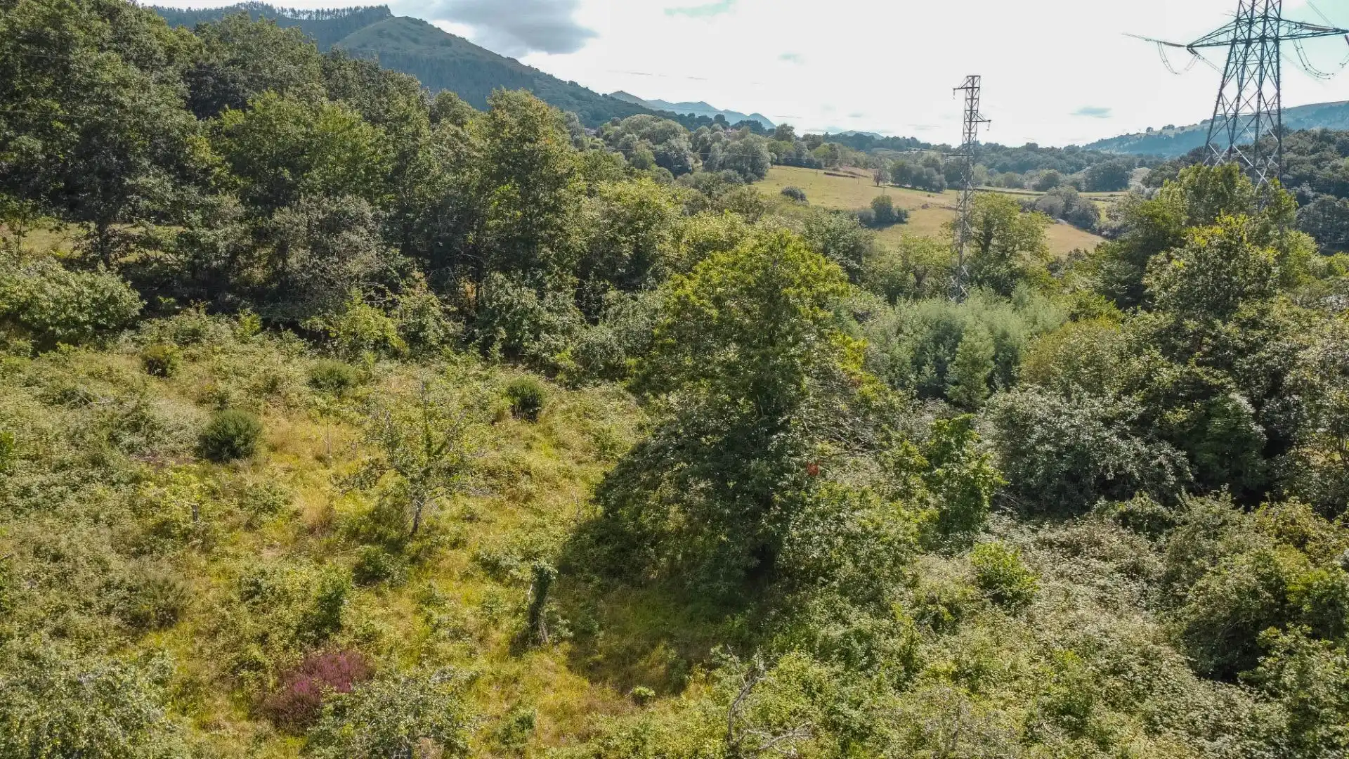 Rural land for sale in del pareo, imagen 42