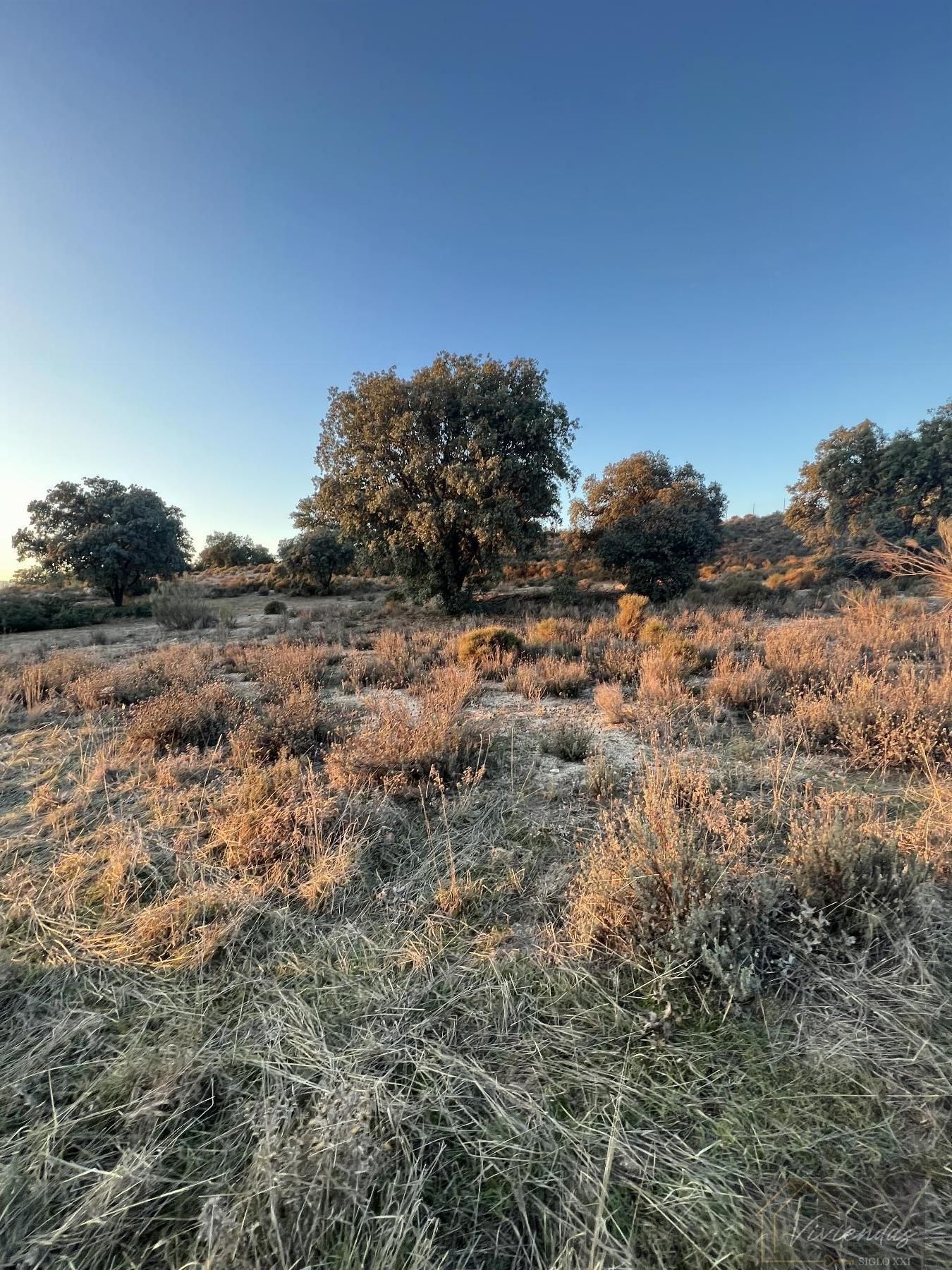 Finca rústica en venda en Brunete