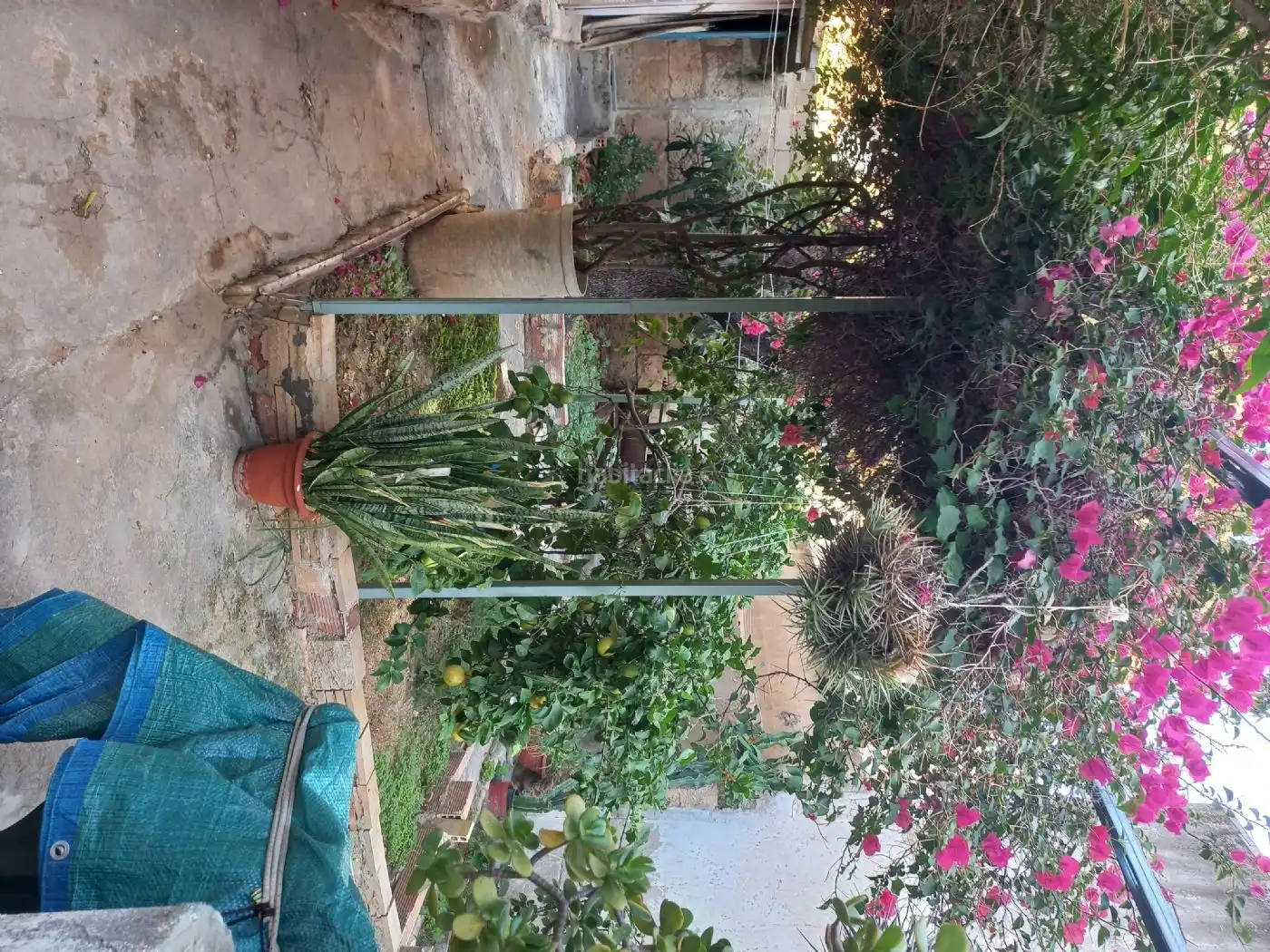 Erdgeschosswohnung zum Verkauf in Carrer de la Barrera 48