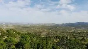 Terreno en venta en Lecrín