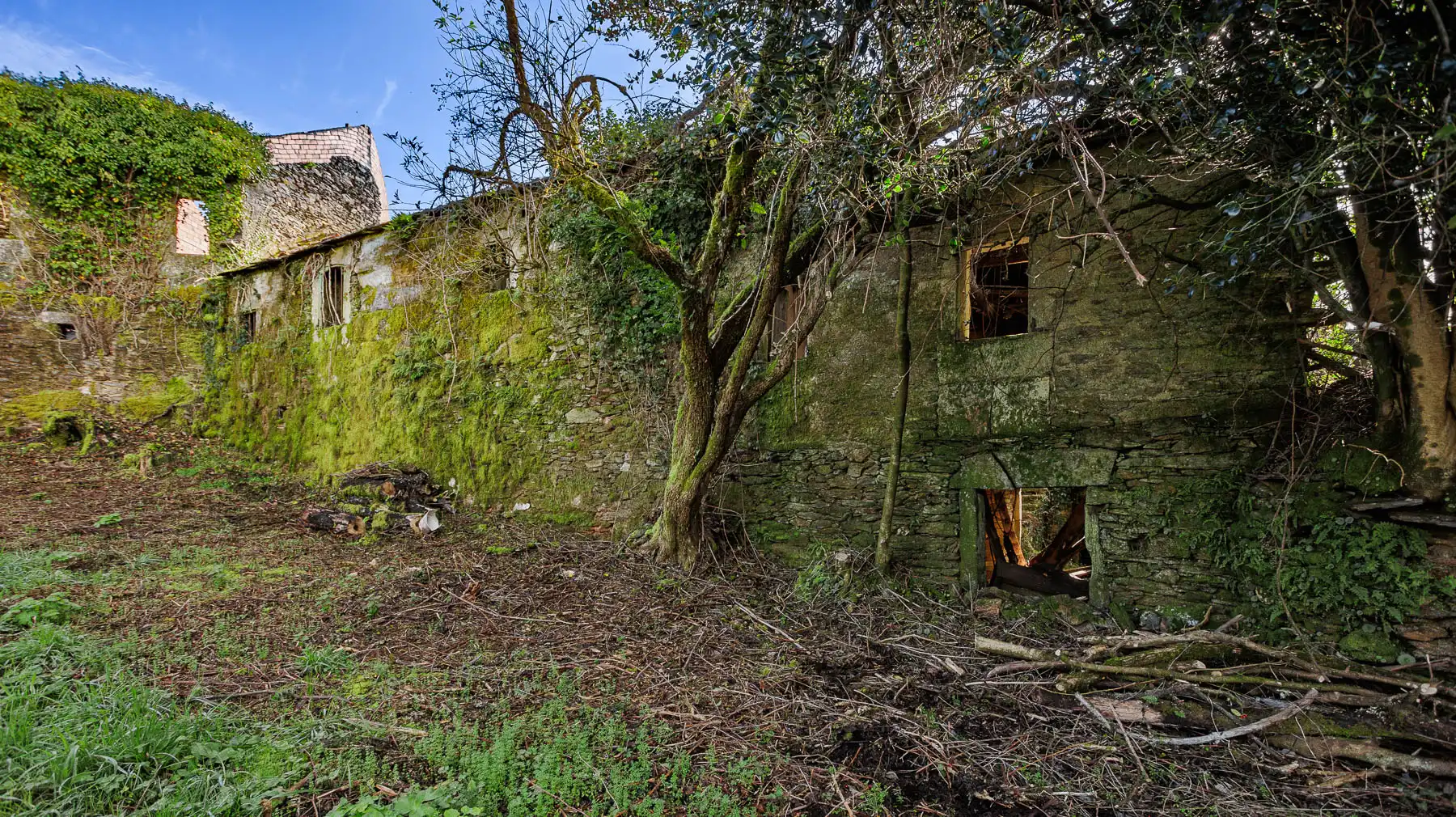 Vista exterior de Finca rústica en venta en Beariz