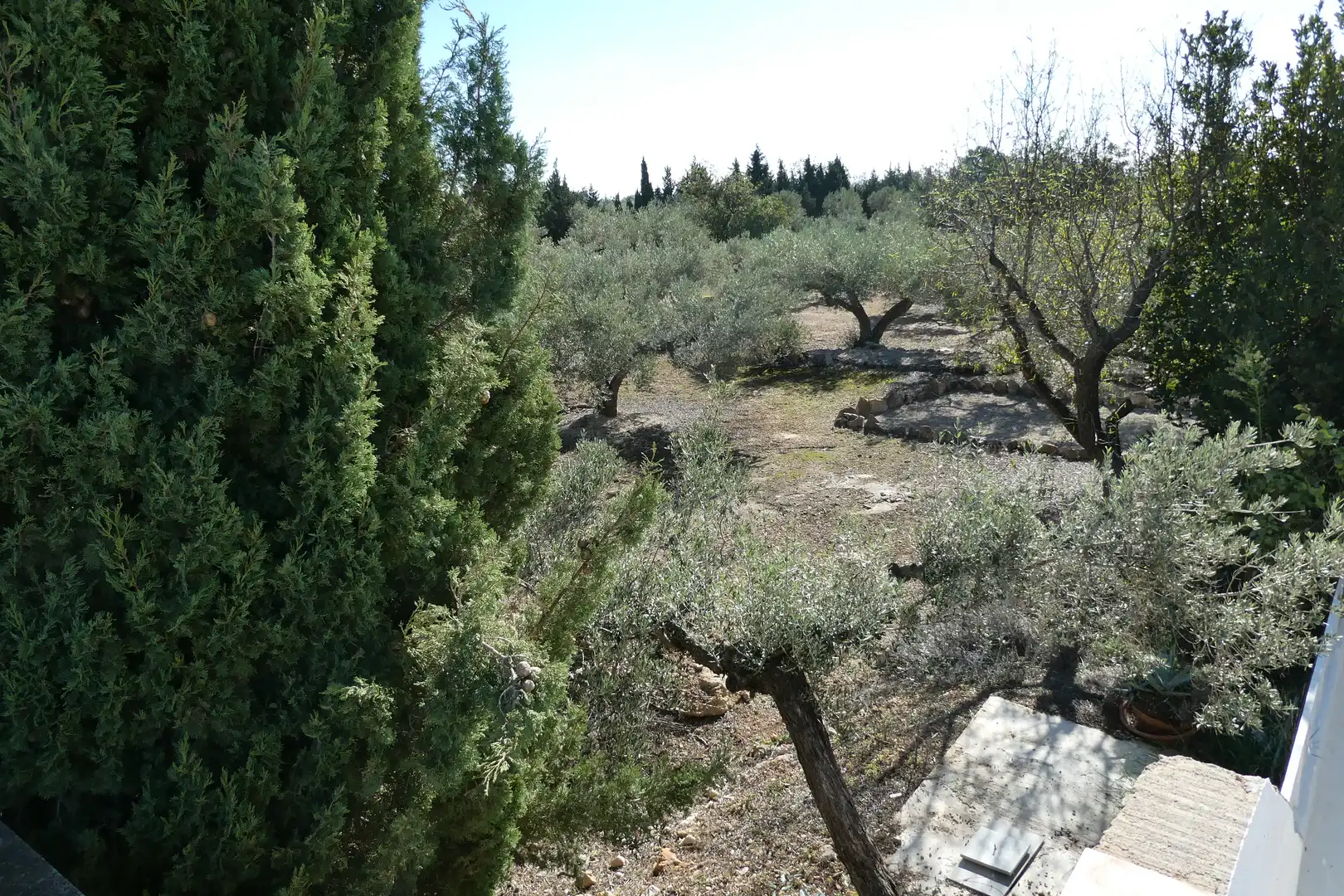 Finca rústica en venda en L'Ampolla amb Aire condicionat, Jardí privat i Piscina