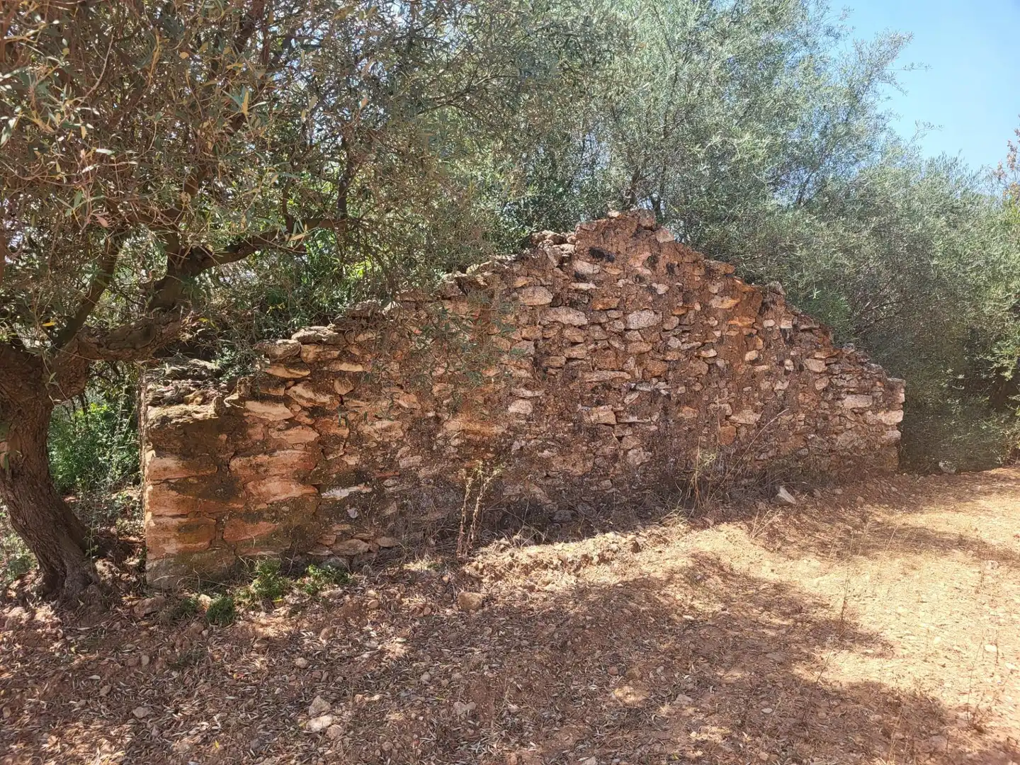 Casa rústica en venda a Vall d'Alba, imagen 6