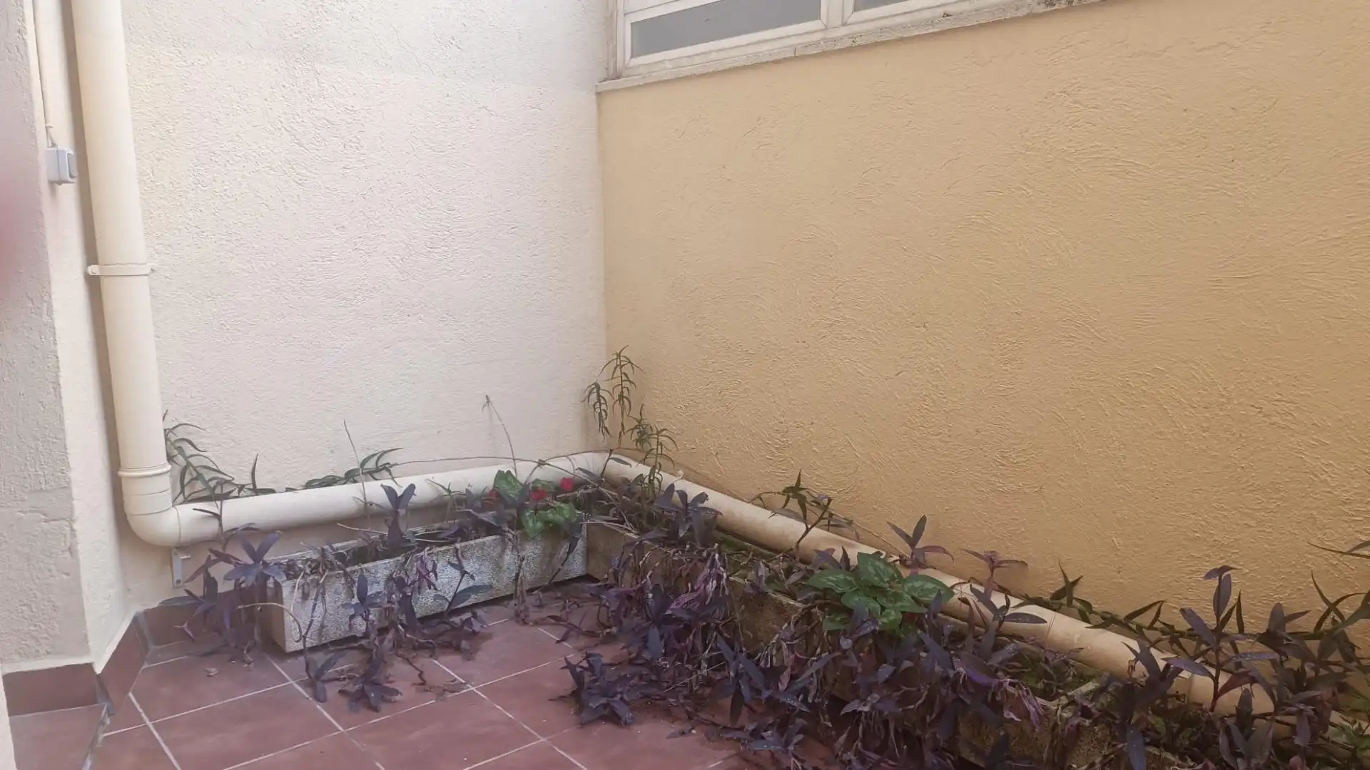 Terrasse von Wohnung zum Verkauf in Terrassa mit Terrasse und Balkon