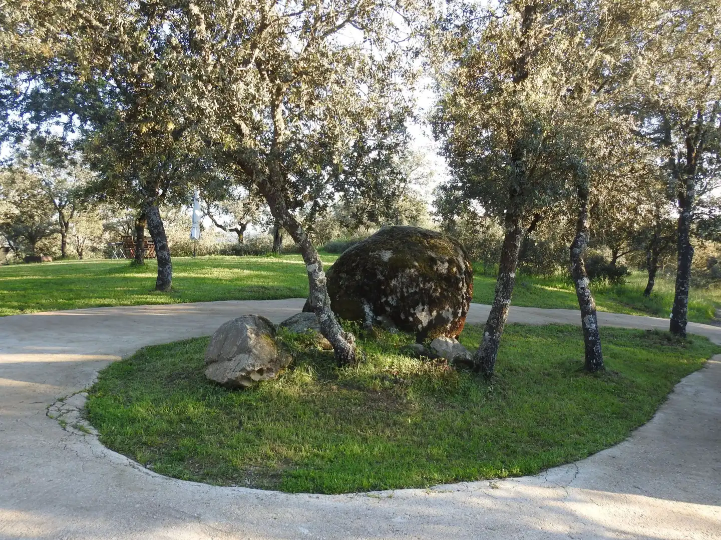 Garden of Land for sale in Cervera de los Montes