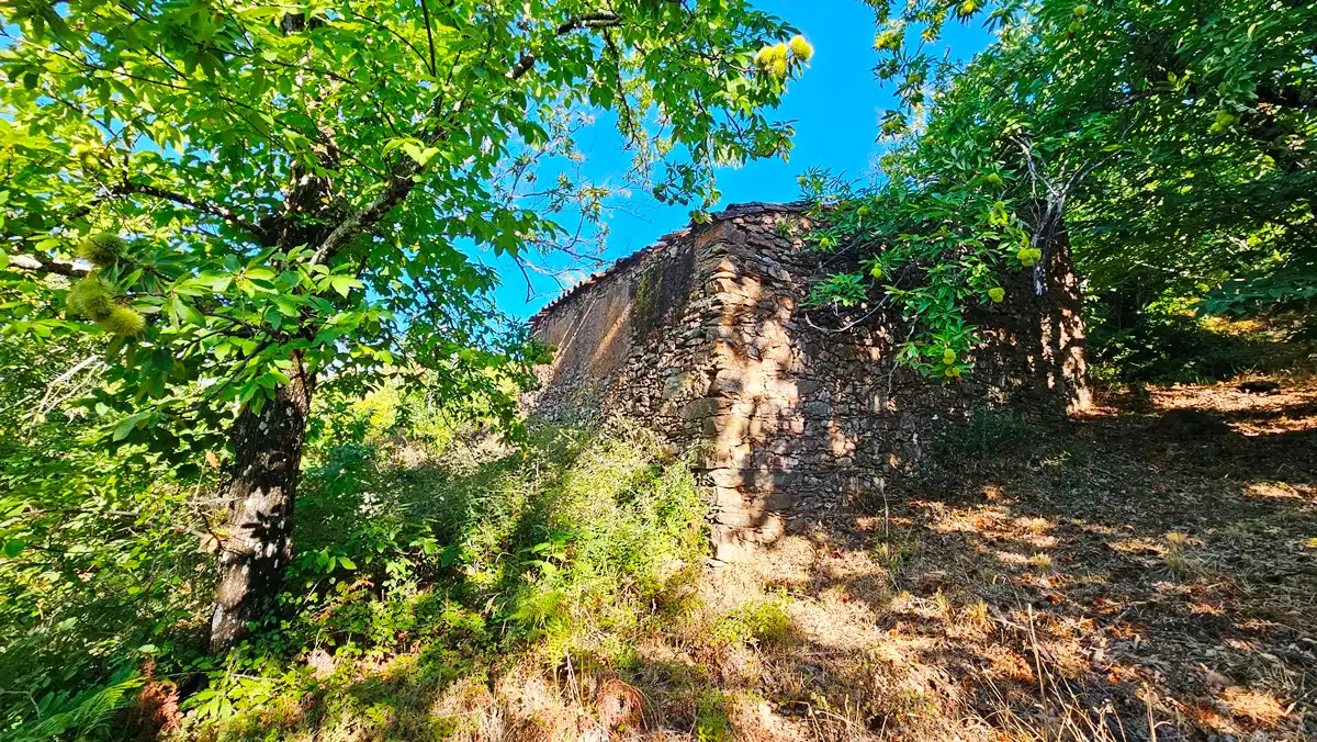 Terreni e lotti in vendita a Castaño del Robledo, imagen 24