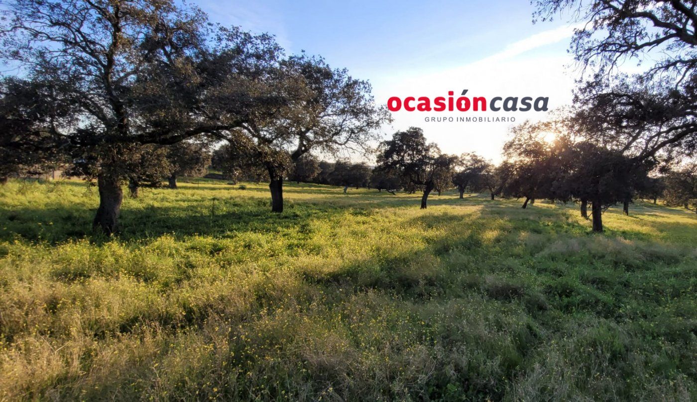 Country house for sale in Pozoblanco