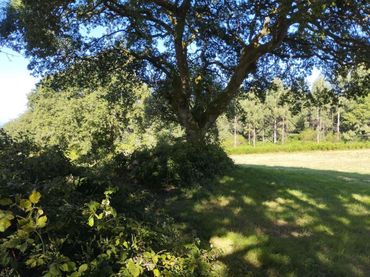 Terreno rustico in vendita a Begonte