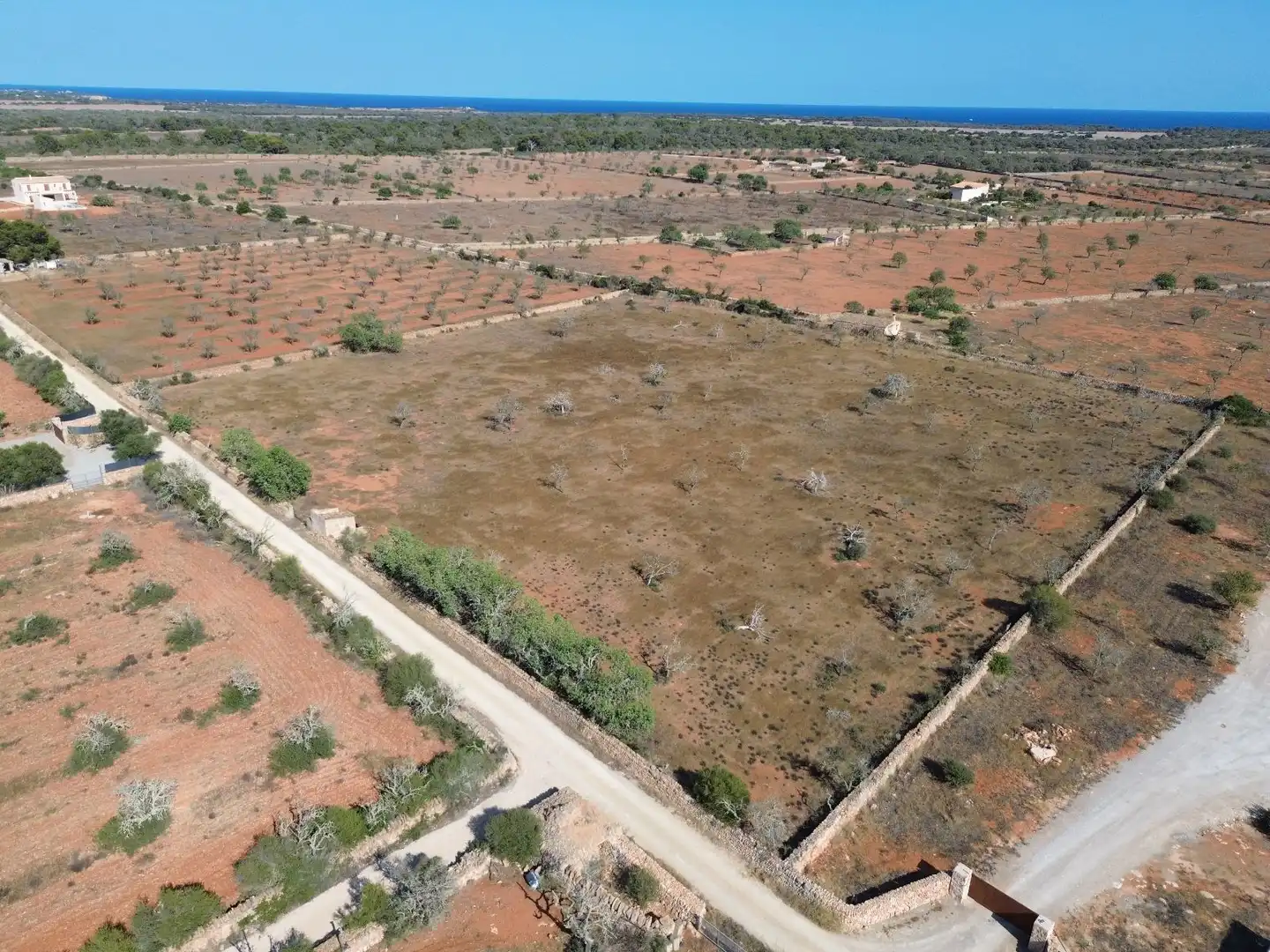 Wohnbaugrundstück zum Verkauf in Ses Salines Poble, imagen 5