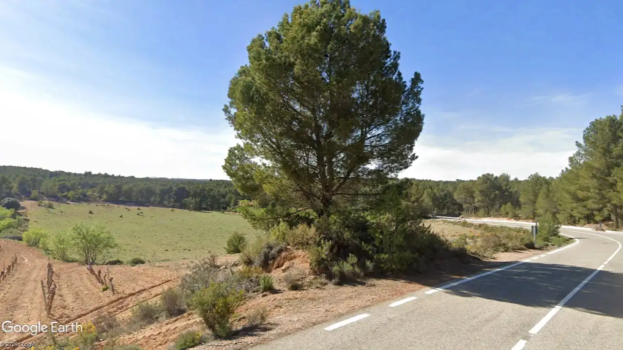 Rustikales Grundstück zum Verkauf in Calle Román Ochando 54, imagen 4