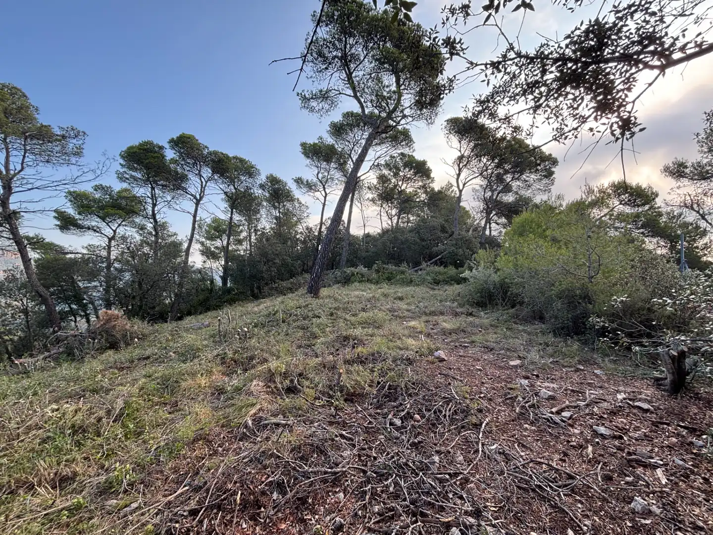 Residential land for sale in Carrer Pasarell, imagen 14