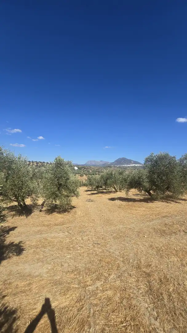 Terrain rustique à vendre à Las Vegas - Campoaras, imagen 8
