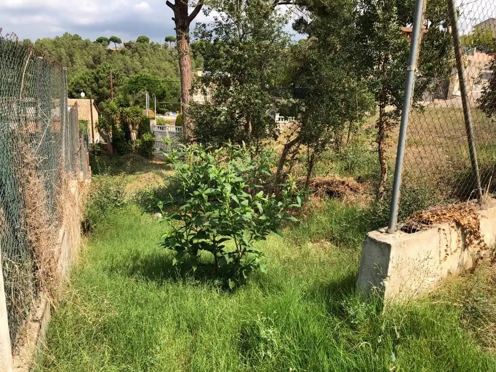 Wohnbaugrundstück zum Verkauf in Mas Mora - Sant Daniel, imagen 3