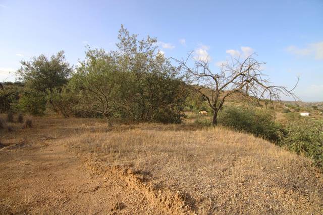 Terreno en Venta en Cortes - Huertas