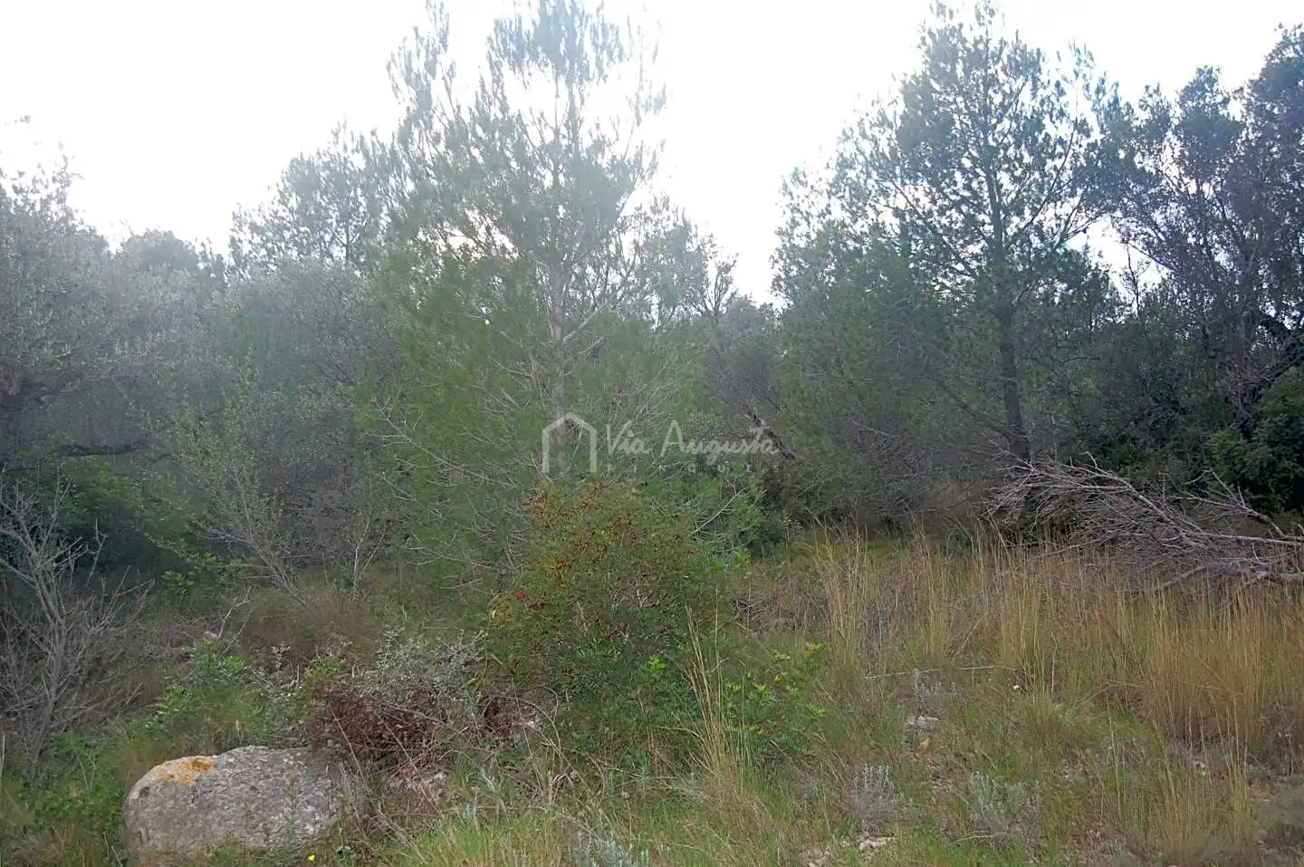 Terreno rústico en venta en Les Vinyasses, imagen 4
