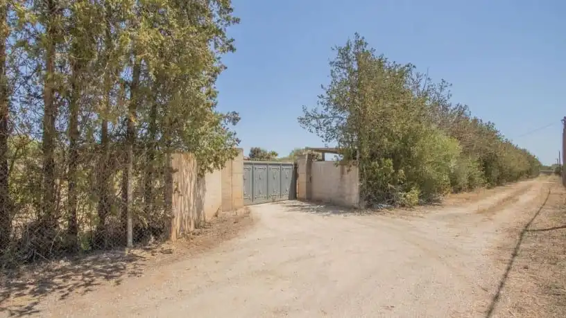 Haus oder Chalet zum Verkauf in polig 4 - Parcelas 485 y 52 (terrades), Santa María del Camí