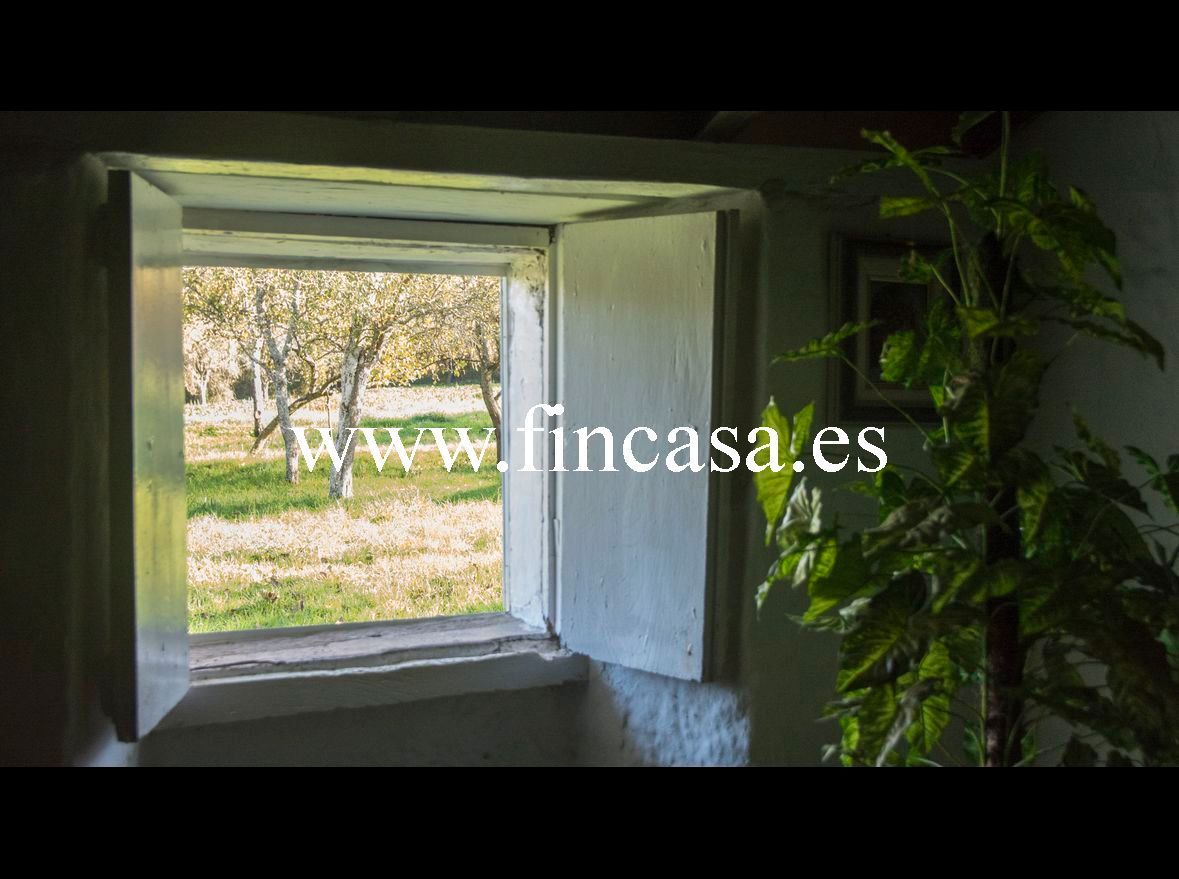 Jardí de Finca rústica en venda en Monterroso
