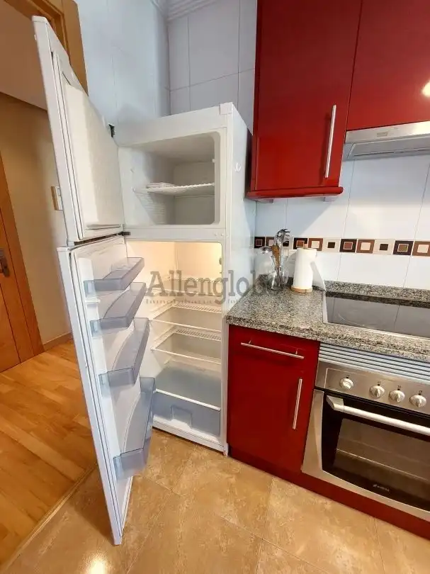 Flat with lift to rent in Calle Vicente Aleixandre, imagen 27